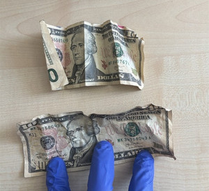 Das Foto zeigt zwei 10-Dollarnoten. Ein Schein wird von einer Hand mit blauem Handschuh auf einen Tisch angedrückt.