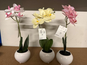 Kunstblume Orchidee