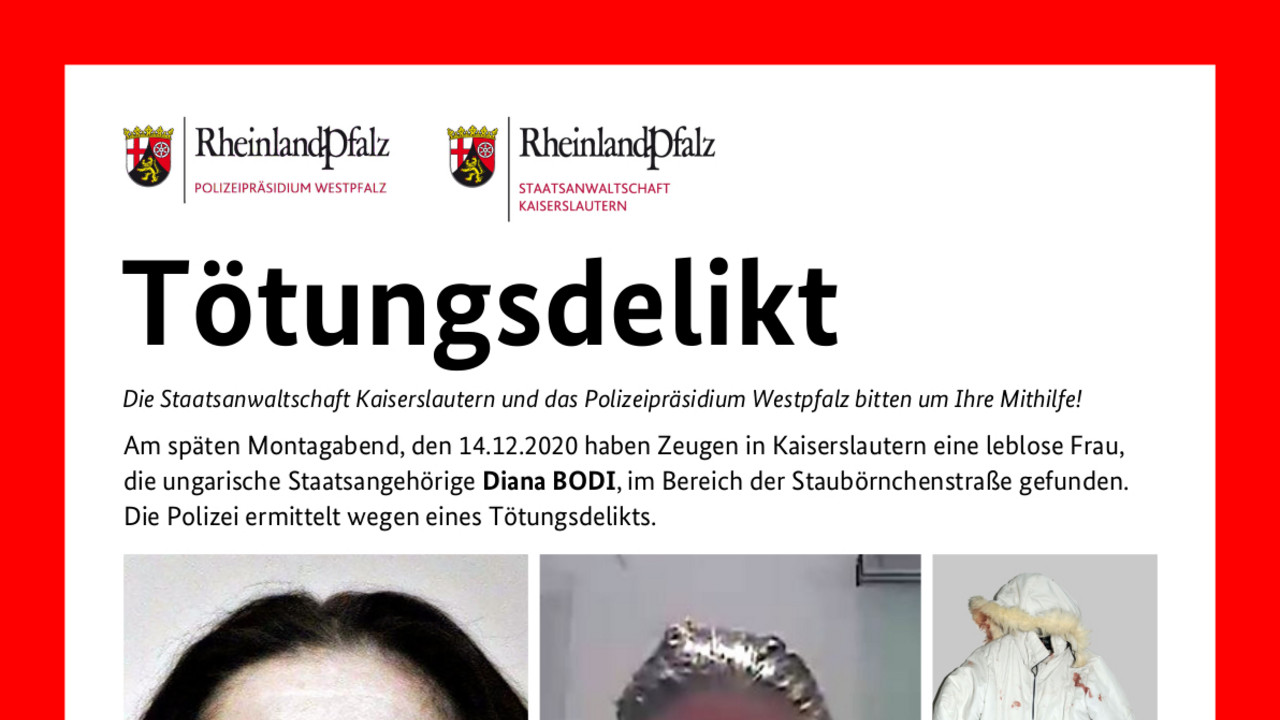 Fahndungsplakat "Tötungsdelikt zum Nachteil von Diana Bodi"