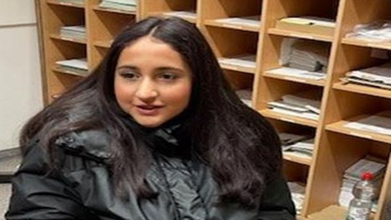 Bild der Vermissten, Mädchen mit langen braunen Haaren