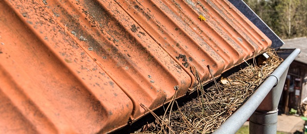 Unseriöse Firmen bieten im Frühjahr Dach- und Steinreinigung an